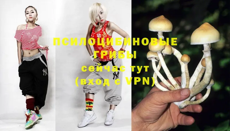 магазин продажи наркотиков  Борисоглебск  Галлюциногенные грибы MAGIC MUSHROOMS 